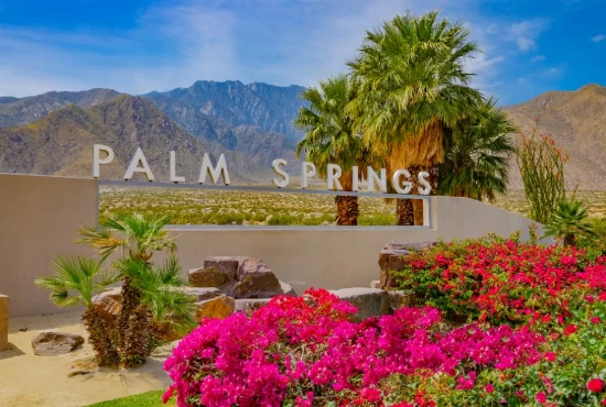 Palm Springs Downtown Park