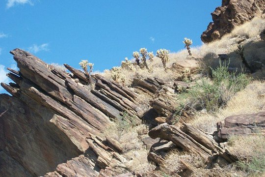 Tour image 5