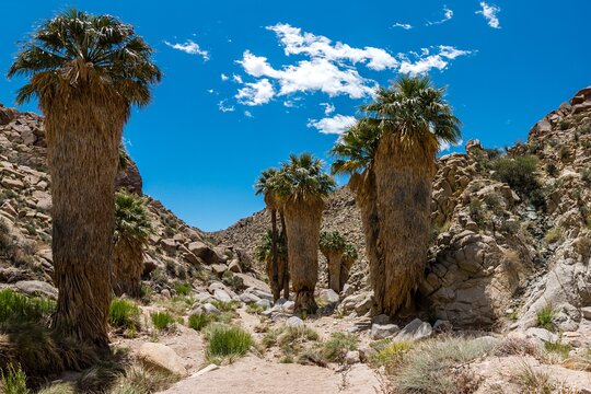 Tour image 6