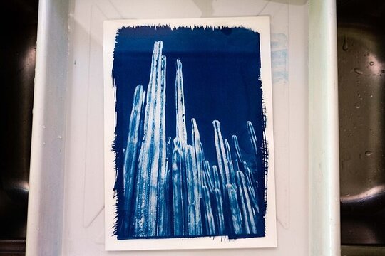 Tour image 5